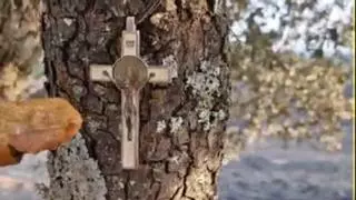 Las colmenas que resistieron milagrosamente al fuego en Fermoselle rodeadas de llamas: "La cruz, ha sido la cruz"