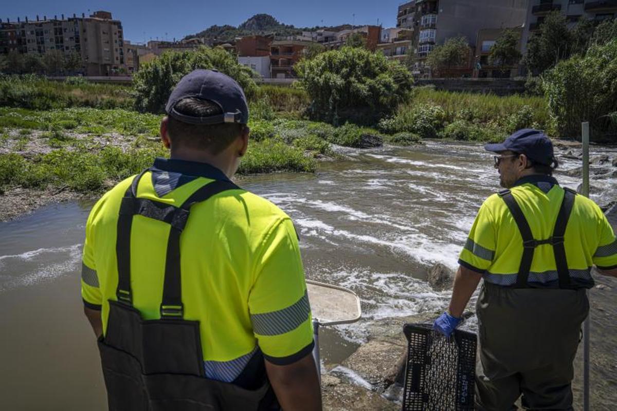 Besòs y depuradora de La Llagosta, que sigue sin funcionar a pleno rendimiento tras el vertido tóxico del sábado