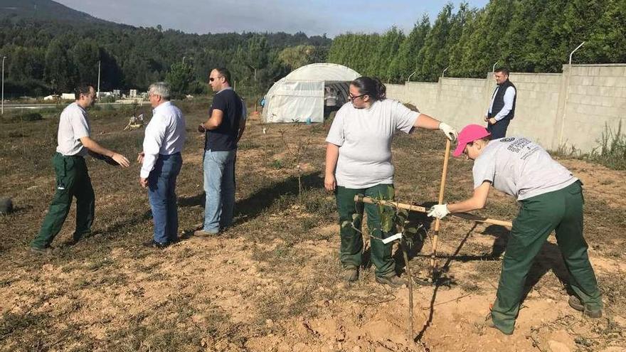 Un taller de empleo prepara una finca formativa