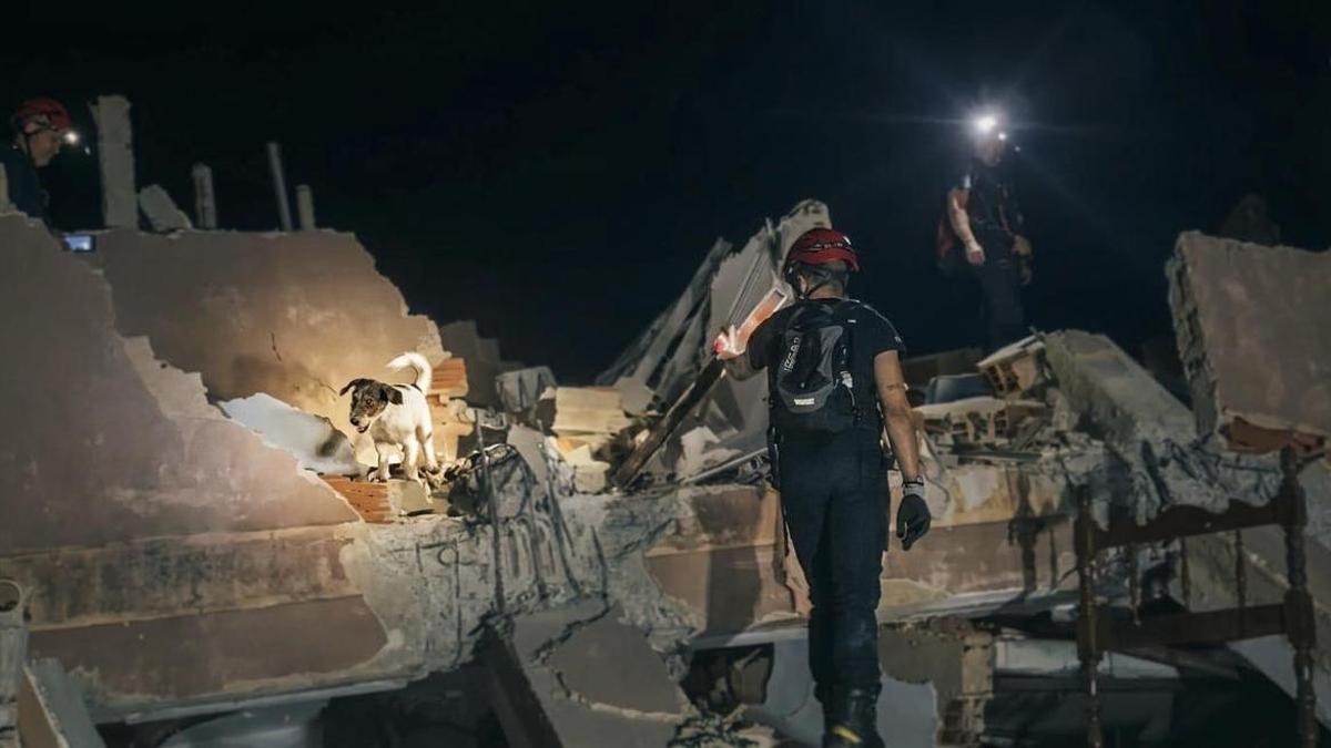 Bomberos del Consorcio buscan superivientes entre los escombros.