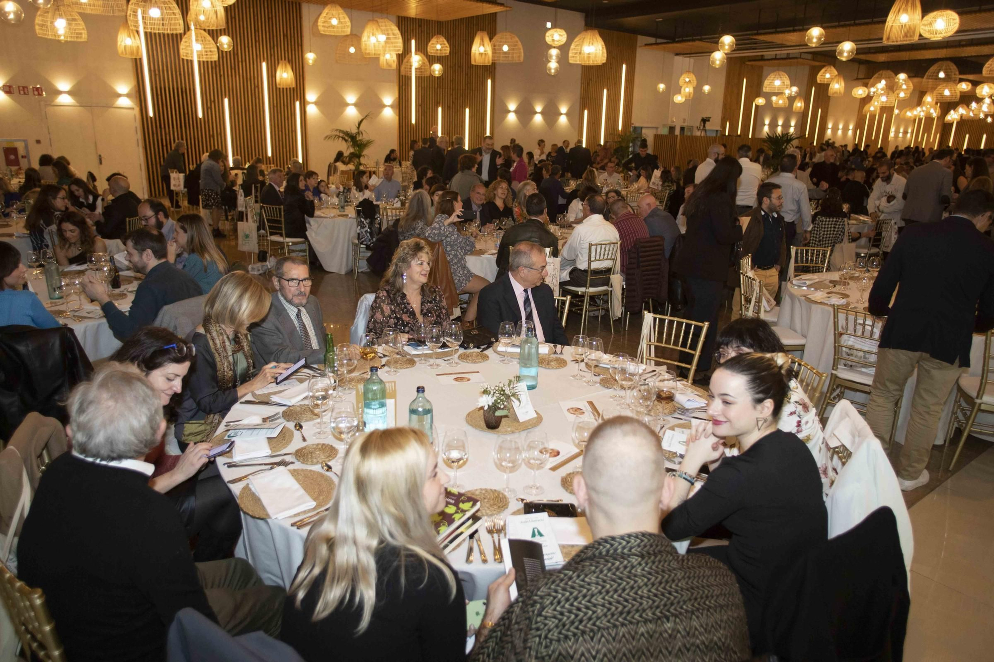 Premios Literarios Ciutat d’Alzira 2023
