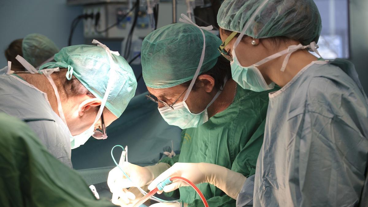 Varios profesionales sanitarios durante un trasplante, en una imagen de archivo.