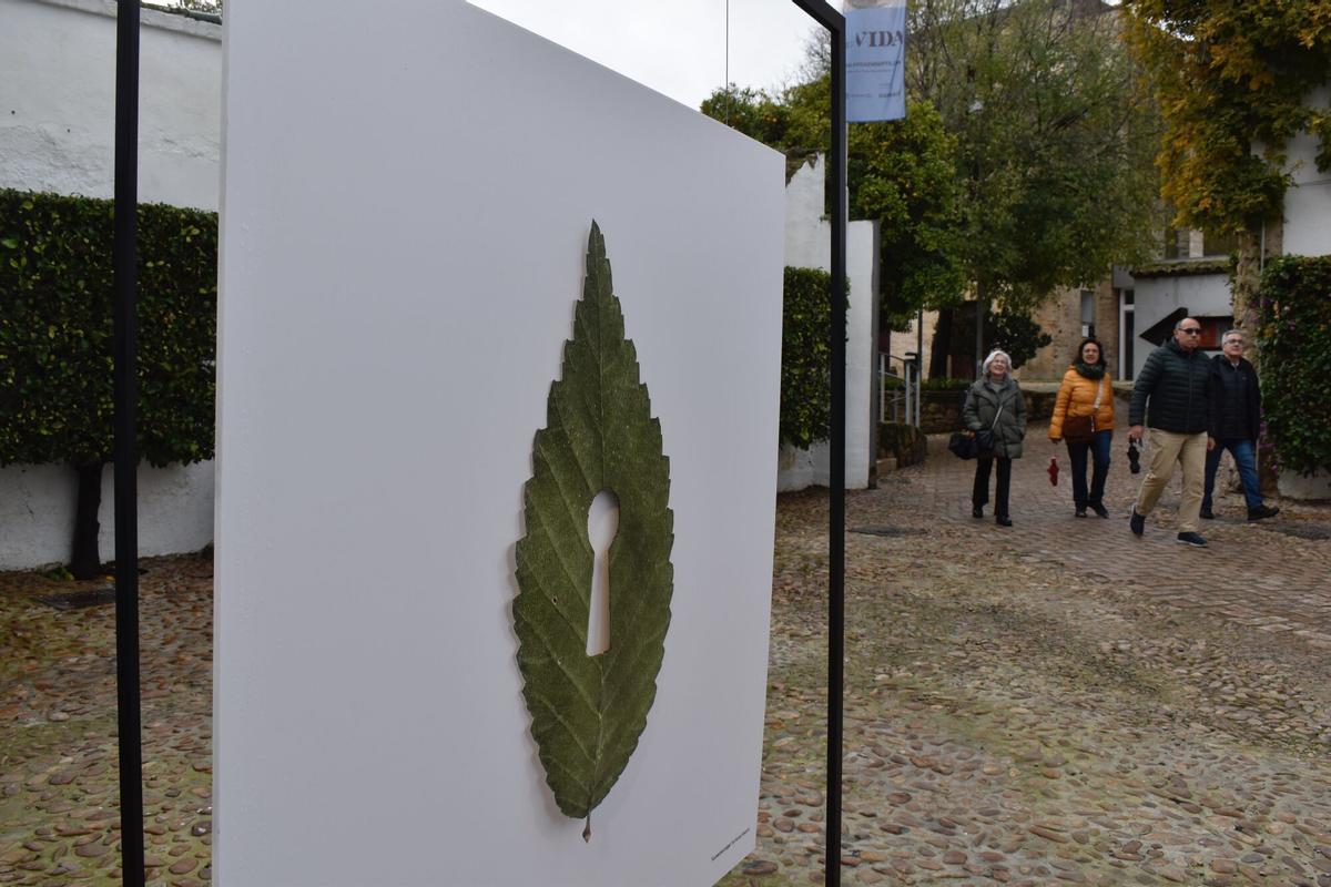 Córdoba. poemas visuales