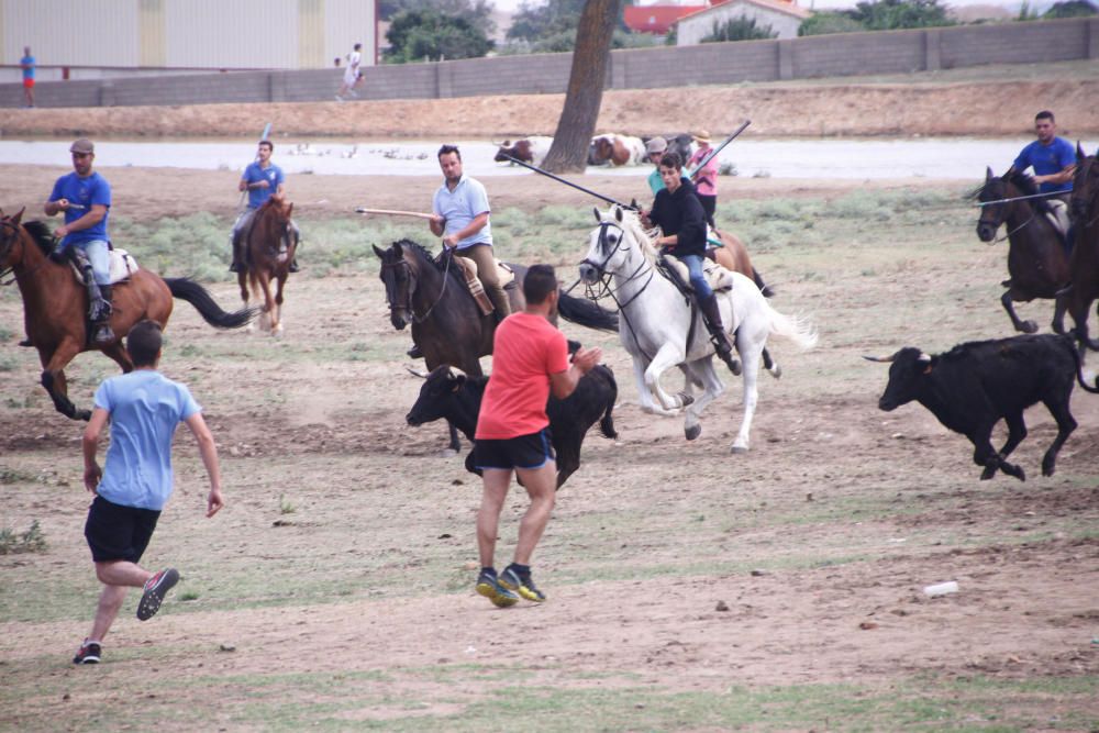 Espante infantil de Fuentesaúco