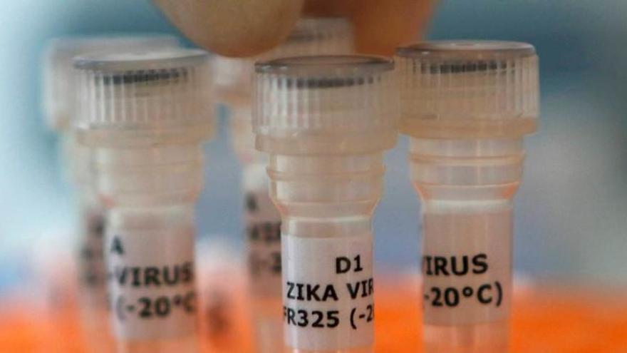 Varios tubos para la recogida de muestras con la pegatina del zika.