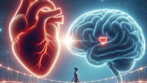 La relación entre corazon y cerebro es mucho más importante de lo que se piensa.