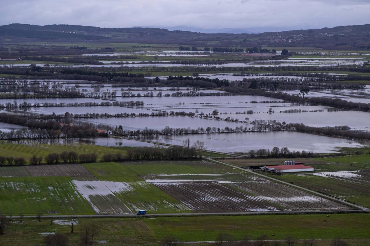 La Laguna de Antela hace honor a su nombre.