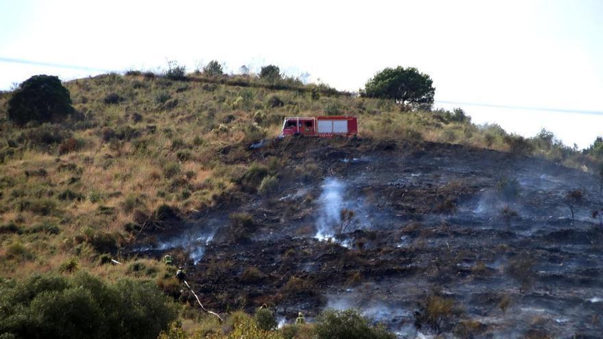 Detenen una persona al voltant de l'origen de l'incendi forestal a Collserola