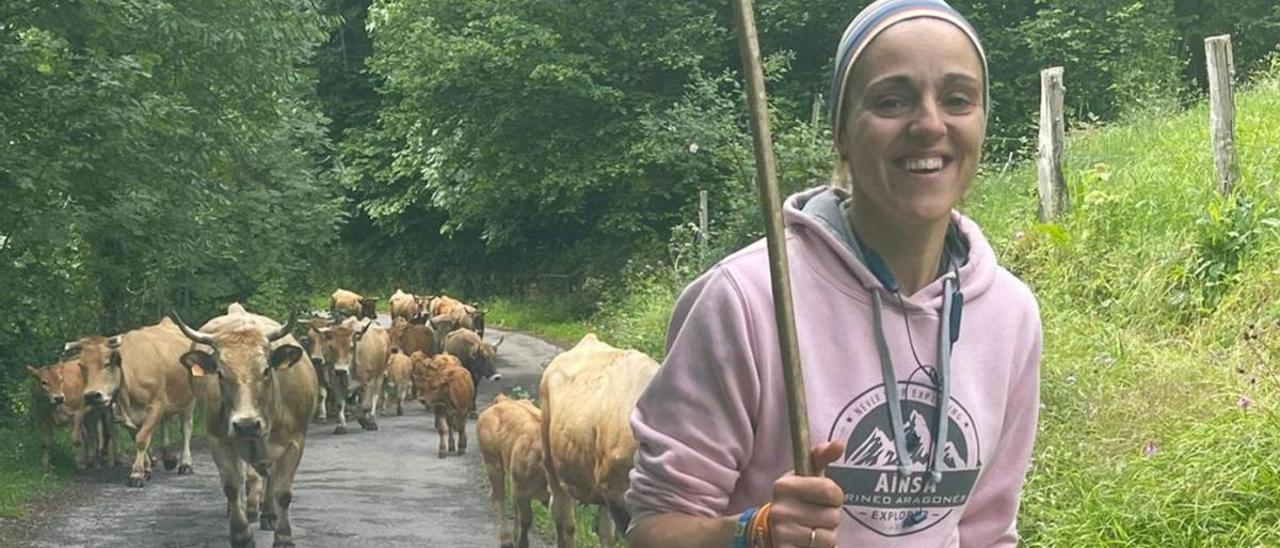 Lucía Velasco, al frente de sus vacas, subiendo  a los pastos de Cerreo, en Somiedo. | L. V.