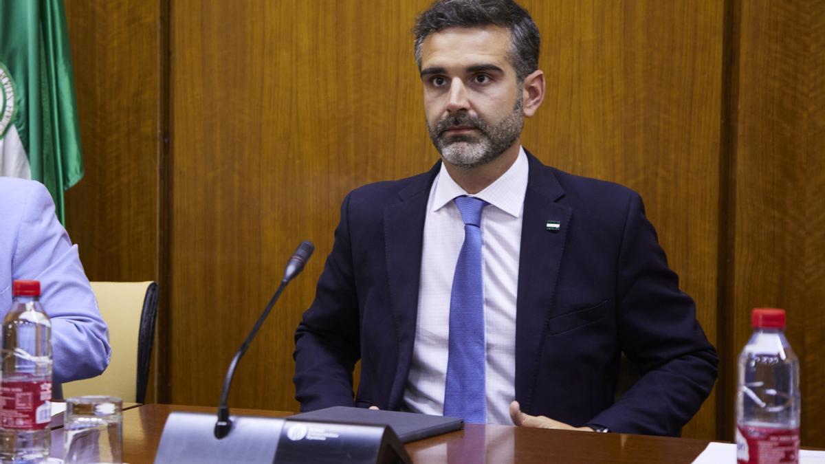 El consejero de Sostenibilidad, Medio Ambiente y Economía Azul y portavoz del Ejecutivo andaluz, Ramón Fernández-Pacheco.