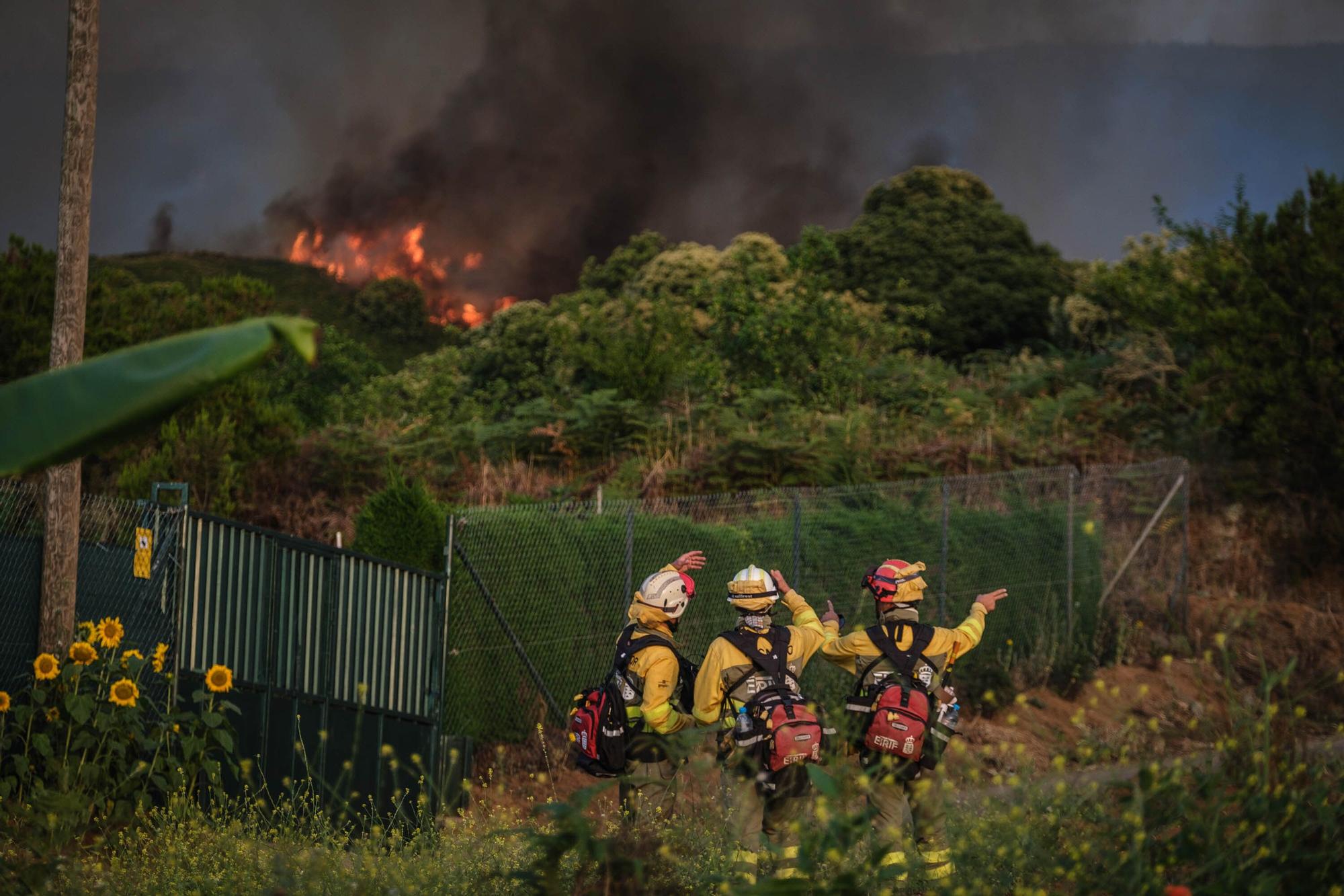 El incendio forestal de Tenerife, en imágenes