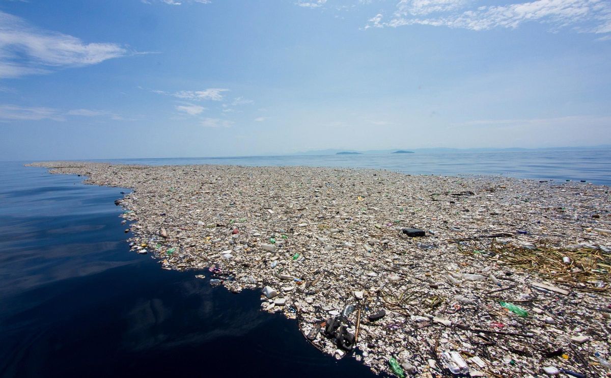 Els oceans, d’abocador a peça clau global, Tema del Diumenge Els oceans, d’abocador a peça clau global, Tema del Diumenge