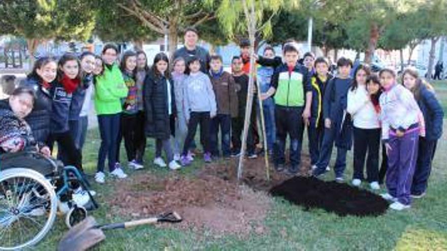 500 niños celebran el Día del Árbol en Vila-real