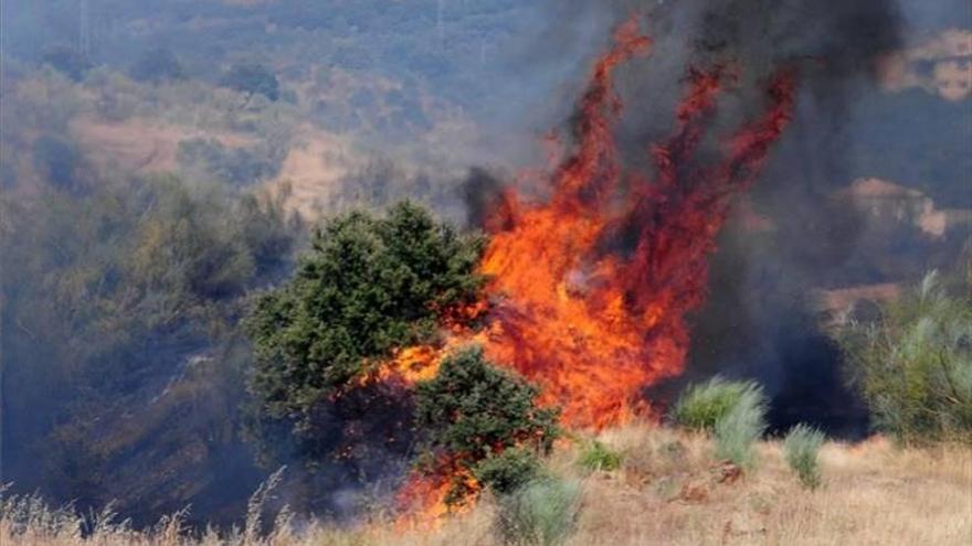 Tres detenidos, uno en prisión, por provocar dos incendios de pasto