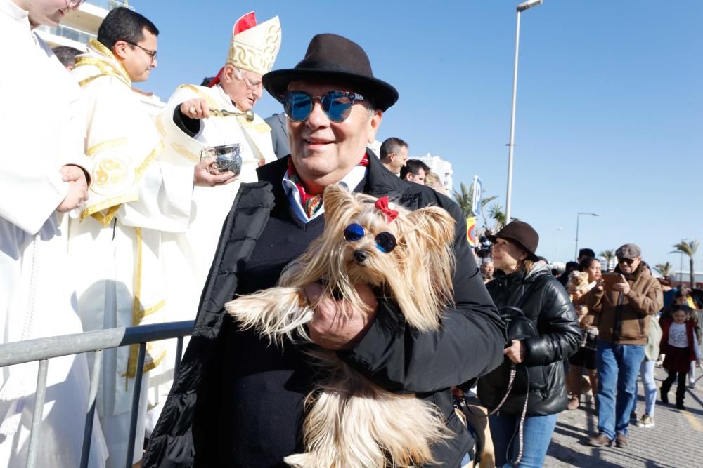 Día grande en Sant Antoni