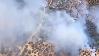Estabilizado un incendio forestal en Obejo