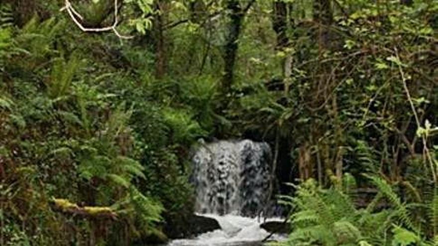 Pequeña cascada del ámbito.