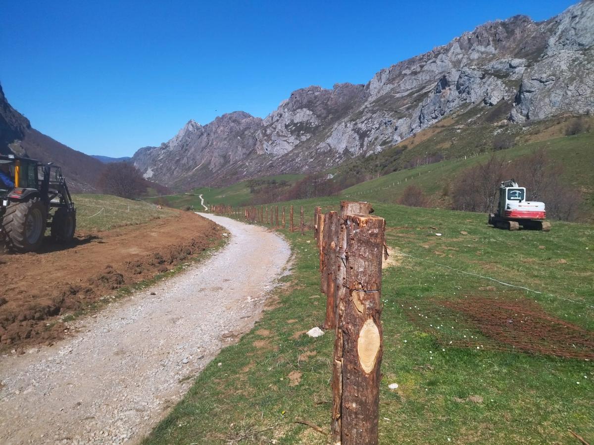 En imágenes: Reposición de cierres en Valle de Lago (Somiedo) tras el rodaje de Los juegos del hambre