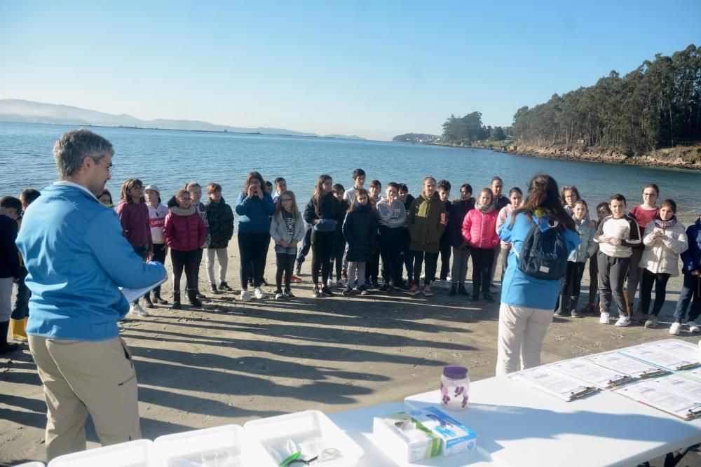 Escolares de Poio retiran de la playa de Chancelas hasta 400 kilos de basura