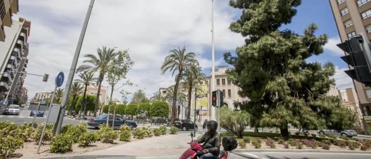 Las plantas de la plaza de España hacen hueco a las Hogueras