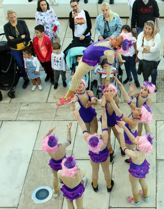 Carnaval de Málaga 2019| Entierro del Boquerón