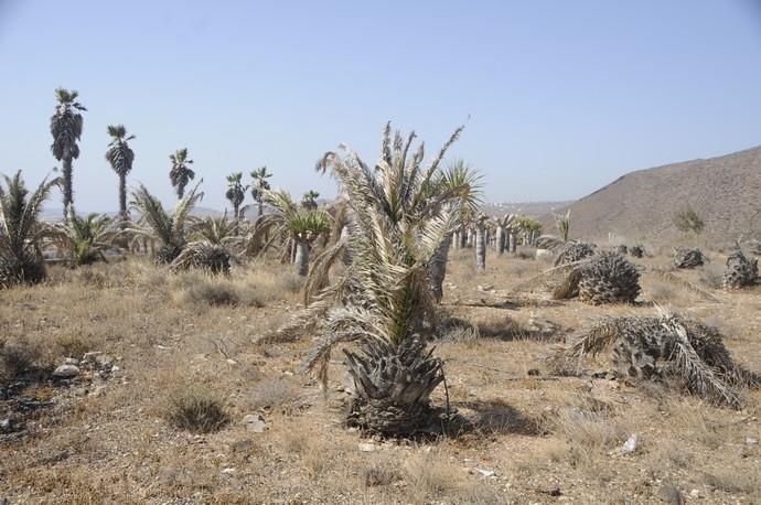 Antiguo pabellón de descanso del Ejército del Aire en El Goro (Telde)