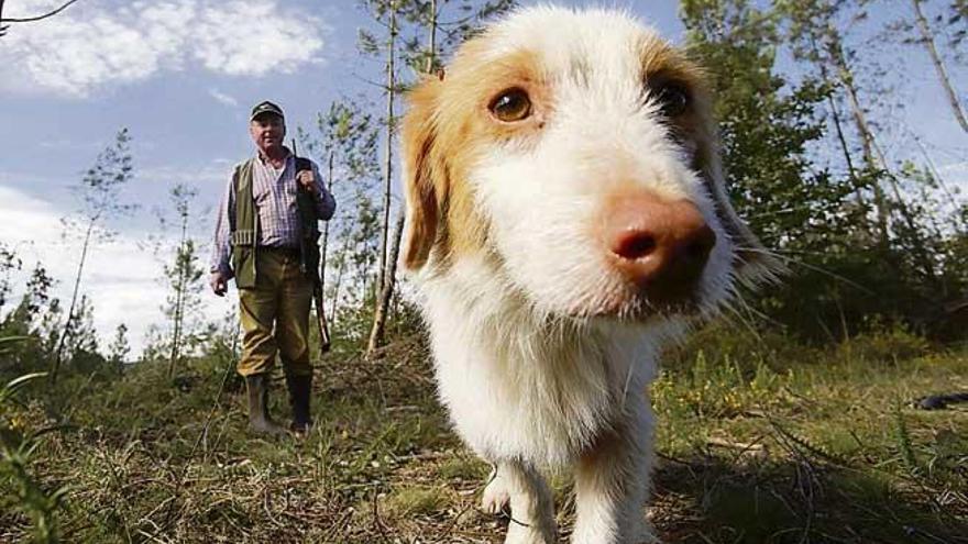 Un perro de caza, junto a su dueño.