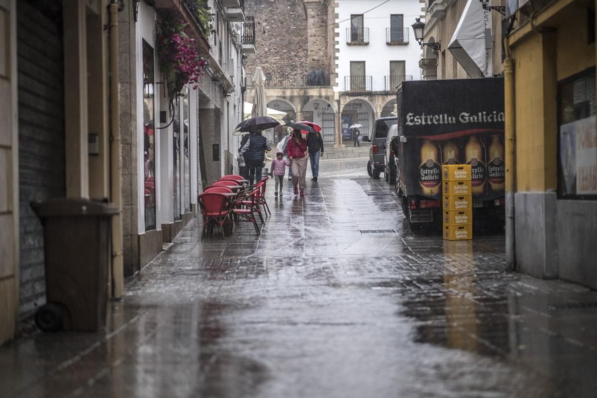 Fotogalería | Así afecta el temporal de lluvia y viento en Cáceres