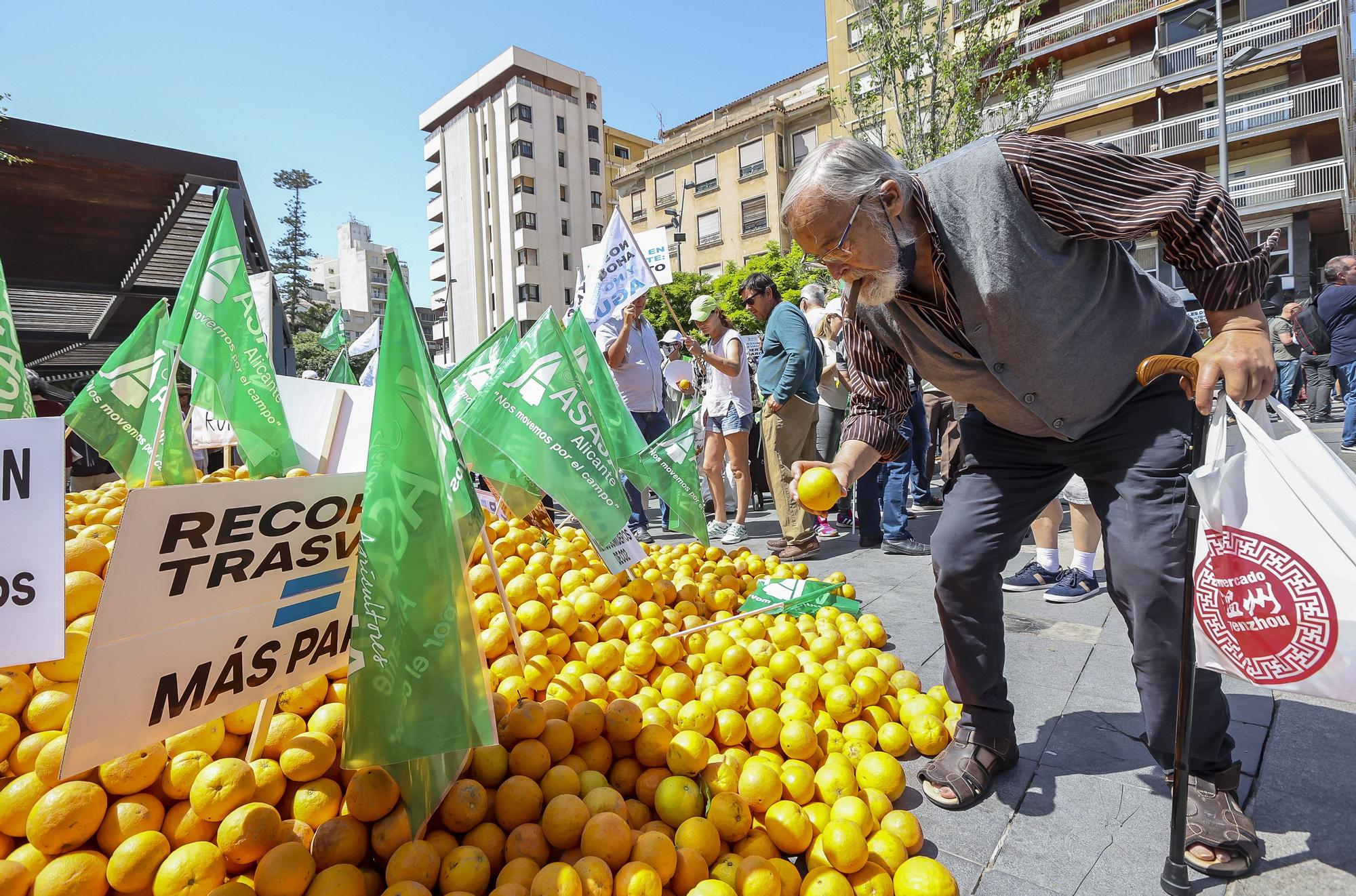 Los agricultores dictan sentencia: el recorte del Tajo-Segura nos lleva a la ruina y la clase política no ha hecho nada