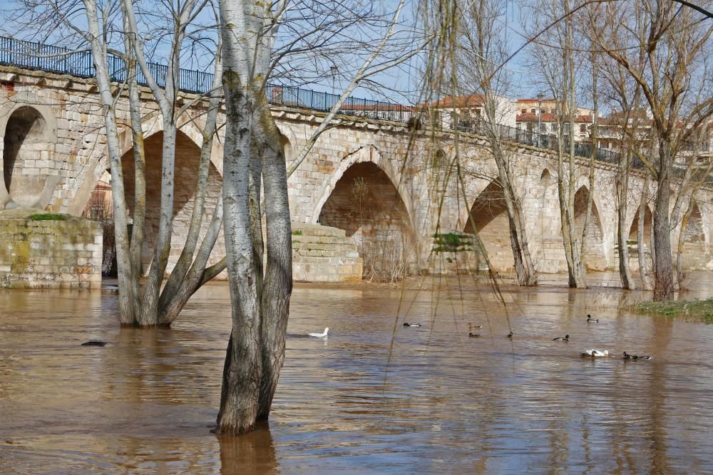 El aspecto del Duero tras las últimas avenidas