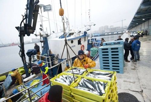 El 'Mar de Alba', obligado a descargar xarda en A Coruña