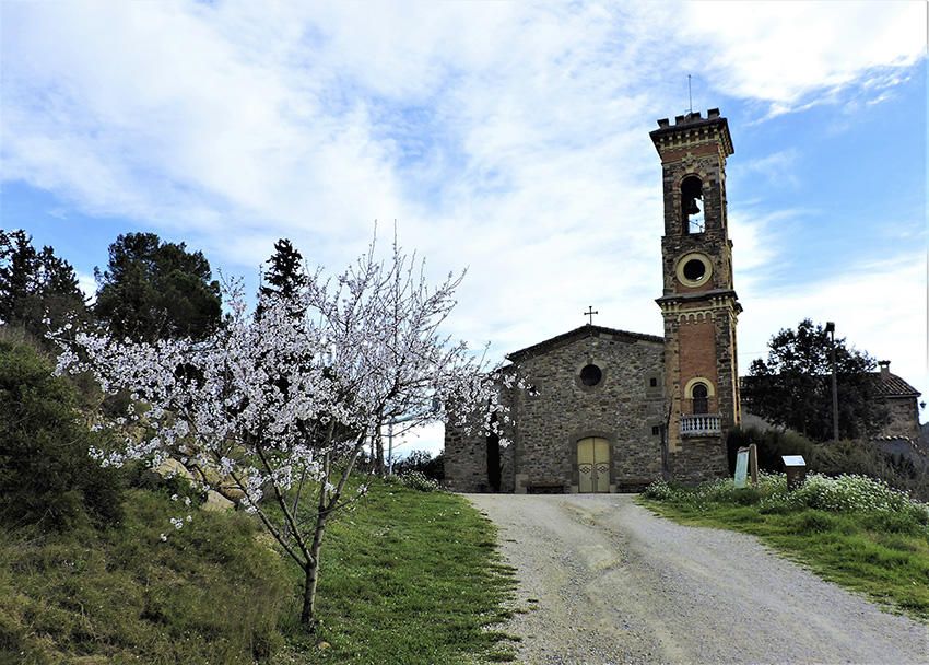 Bonança. La primavera s’apropa a l’església de Santa Maria del Vilar (Castellbell i el Vilar), envoltada de flors.