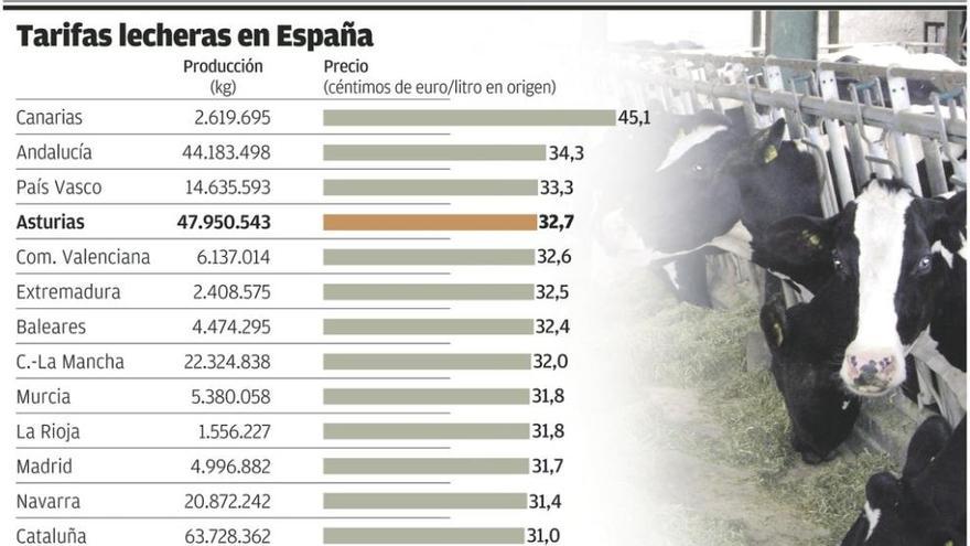 El precio medio de la leche en Asturias resiste entre los más altos de Europa