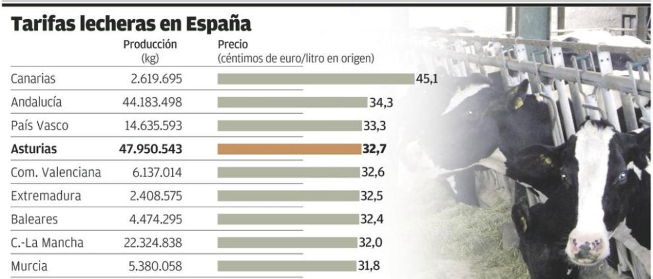 El precio medio de la leche en Asturias resiste entre los más altos de Europa