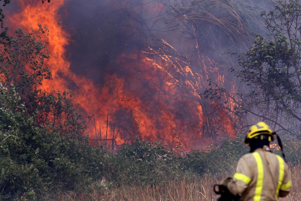 Incendi entre Cruïlles i Monells