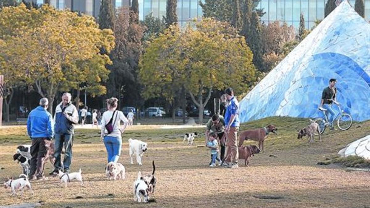 El parque de la Estació del Nord, invadido de perros, el viernes pasado.