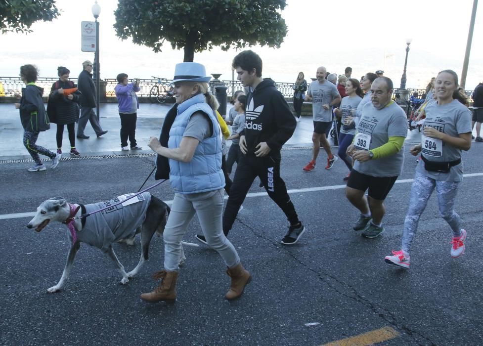 Daniel Bargiella se proclamó ganador de una carrera que llenó Vigo de humanidad