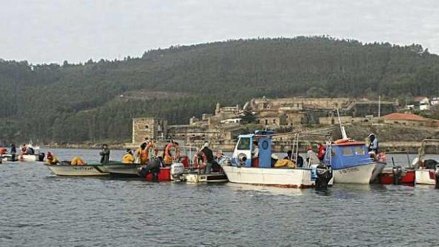 Embarcaciones de marisqueo en la ría de Ferrol.