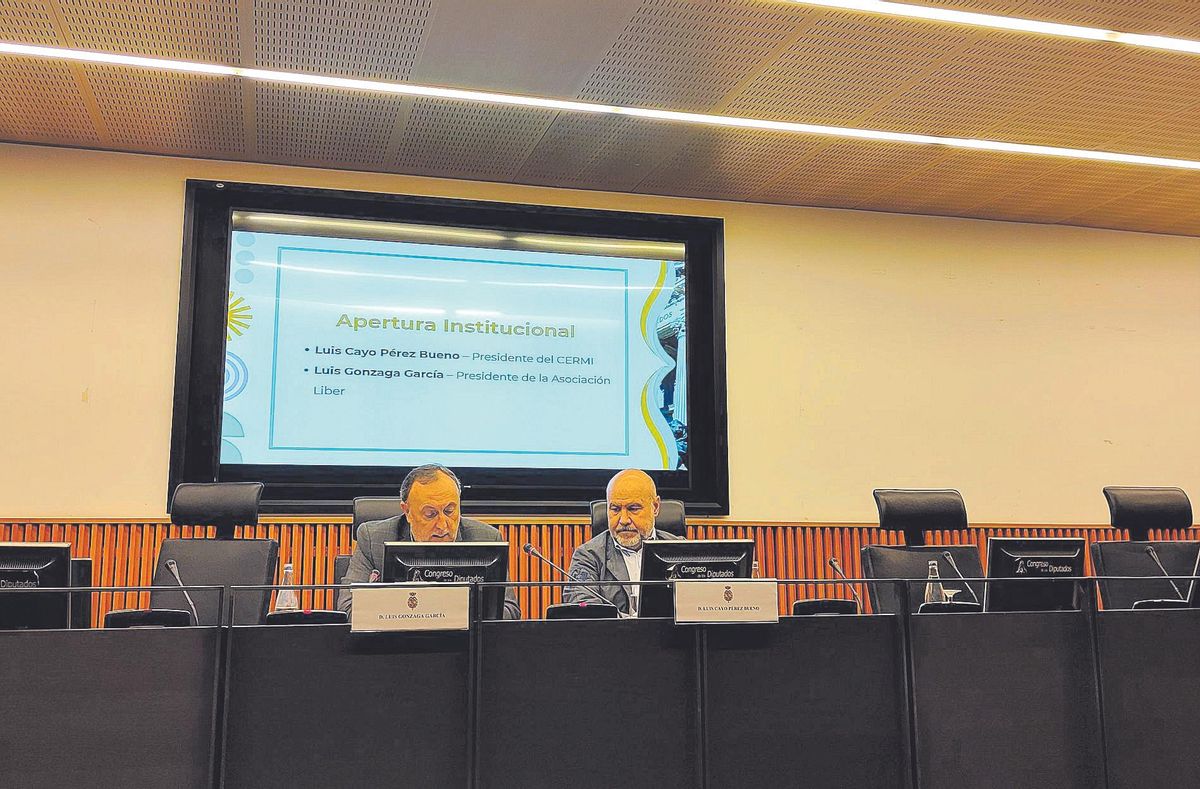 Luis Gonzaga, presidente de Liber, y Luis Cayo, presidente del CERMI, presentaron en el Congreso el estudio ‘La situación del apoyo a la toma de decisiones en España