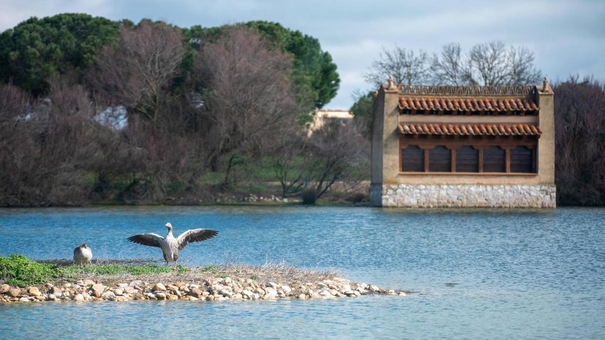 Salina grande en la Rserva de las Lagunas de Villafáfila.