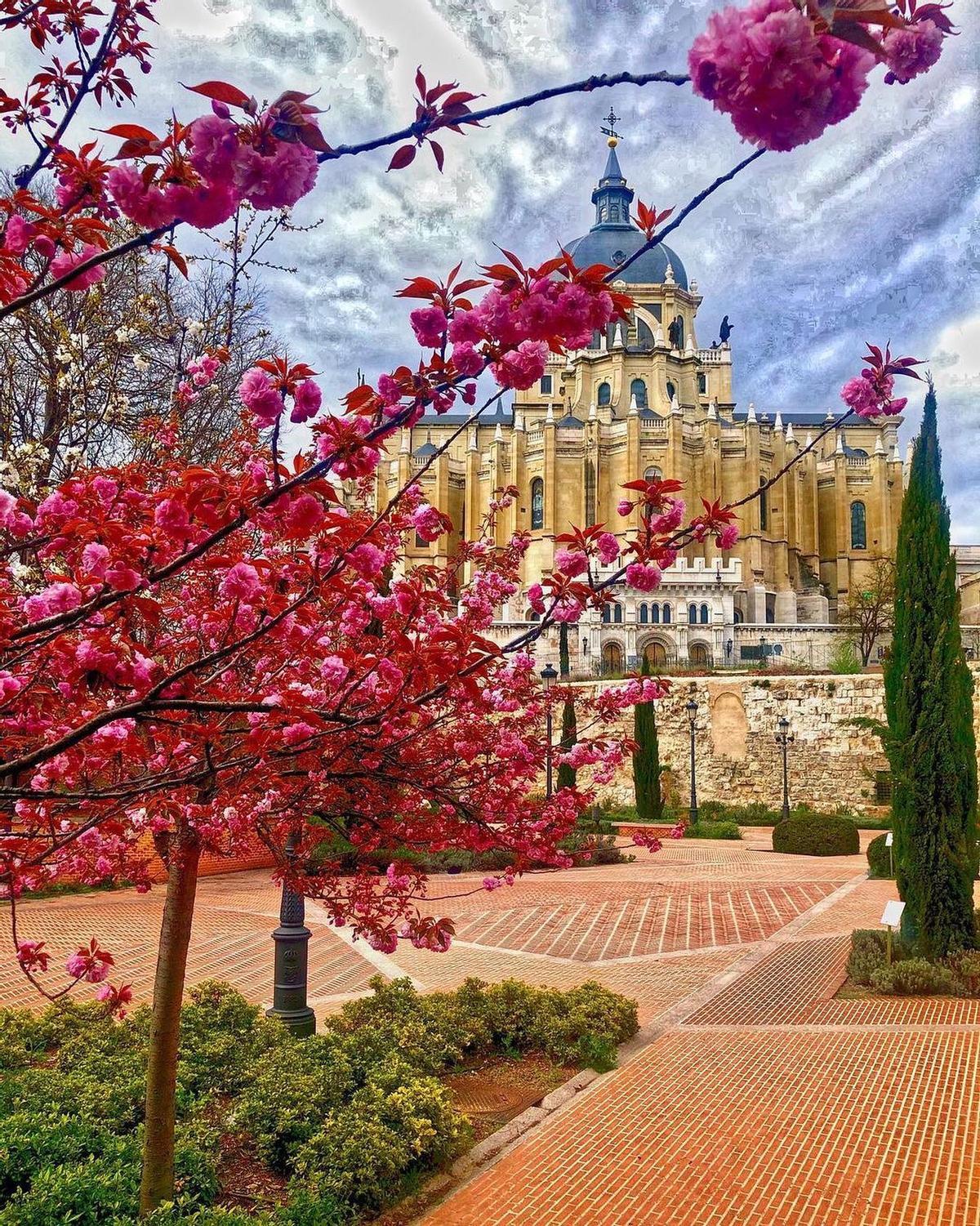 Parque del Emir Mohamed I, situado junto a la Cuesta de la Vega y a escasos metros de la Catedral de la Almudena y el Palacio Real