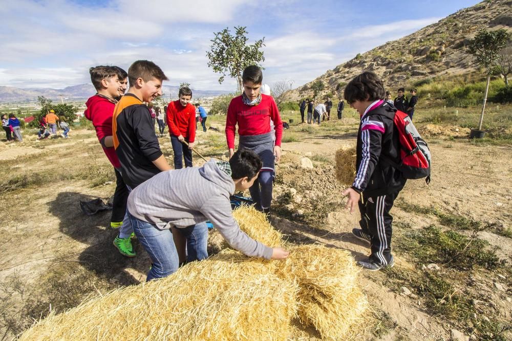 Proyecto para convertir la cantera de Cox en zona verde