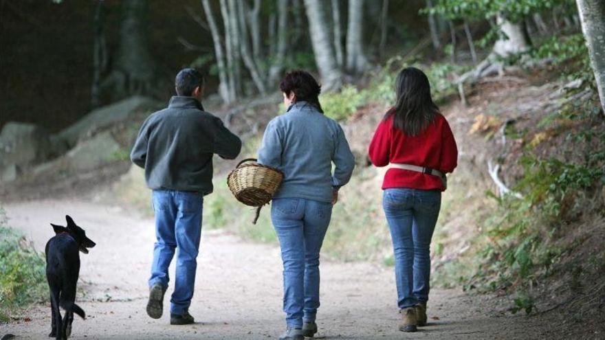 Equinoccio de otoño: ¿Qué tiempo hará en otoño del 2018 en España?