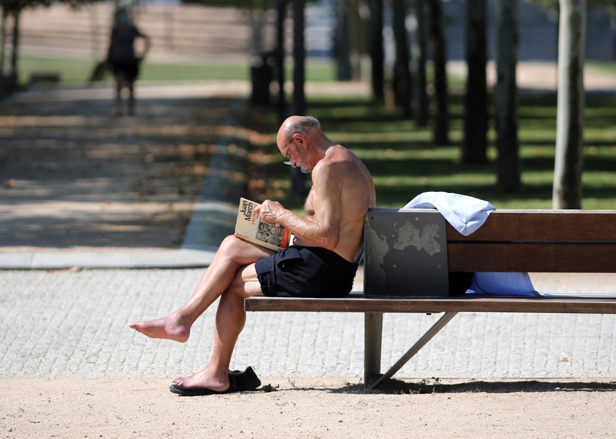 Un hombre sin camiseta lee un libro en un parque de Madrid