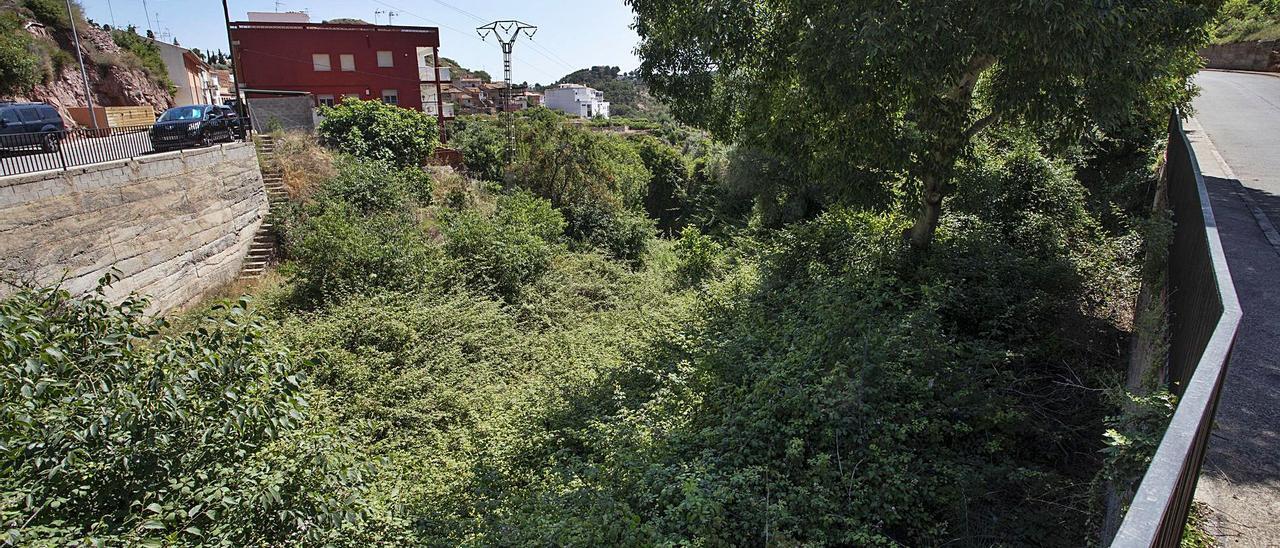 Las malas hierbas del barranco de Segart alcanzan las viviendas. | DANI TORTAJADA