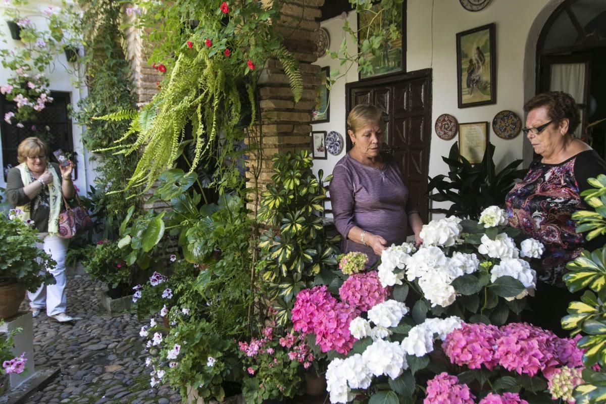 Fotogalería / Descubriendo los patios de la ruta Santa Marina-San Agustín