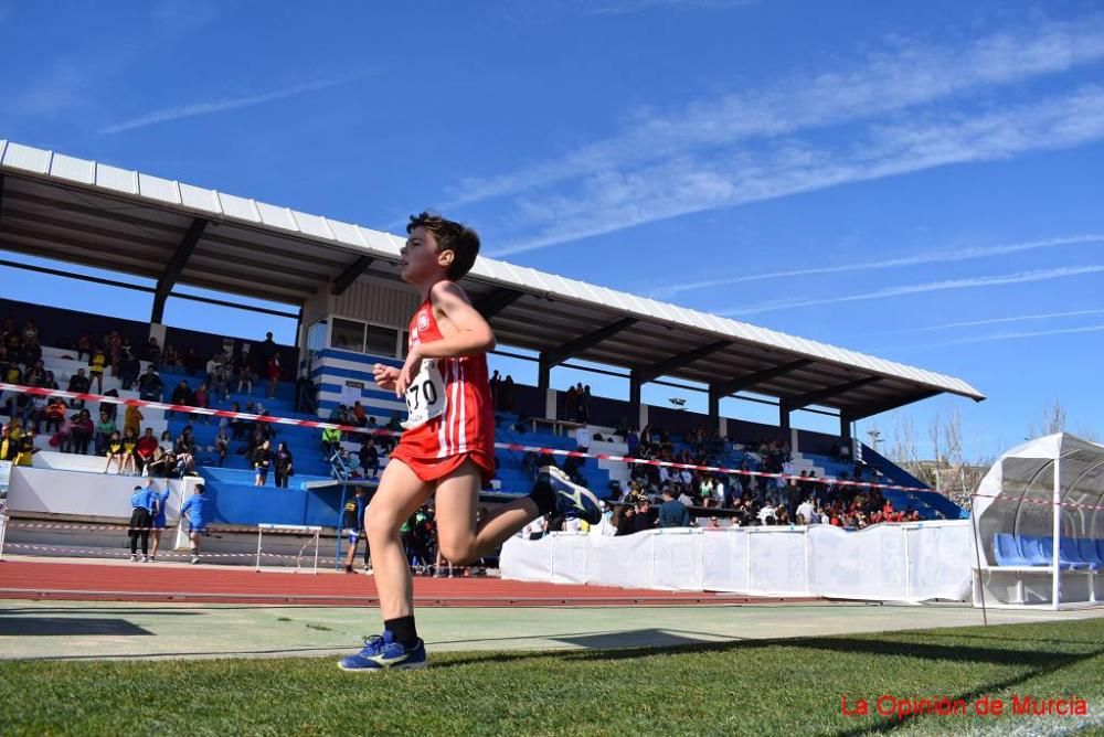 Cross de Jumilla 5