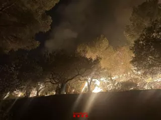 Els Bombers confien estabilitzar l'incendi del Baix Ebre al llarg del dia després de treballar-hi "intensament" durant la nit