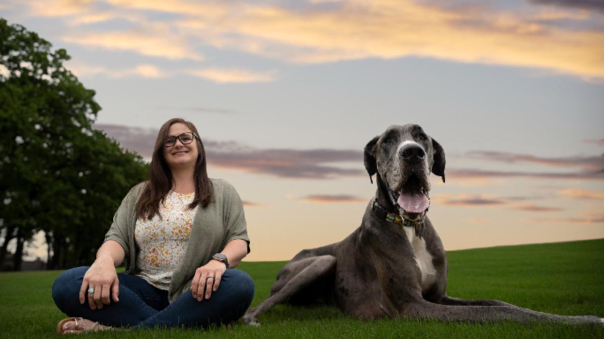 El perro más grande del mundo: conoce a Zeus, un gran danés que come 12  tazas de pienso al día