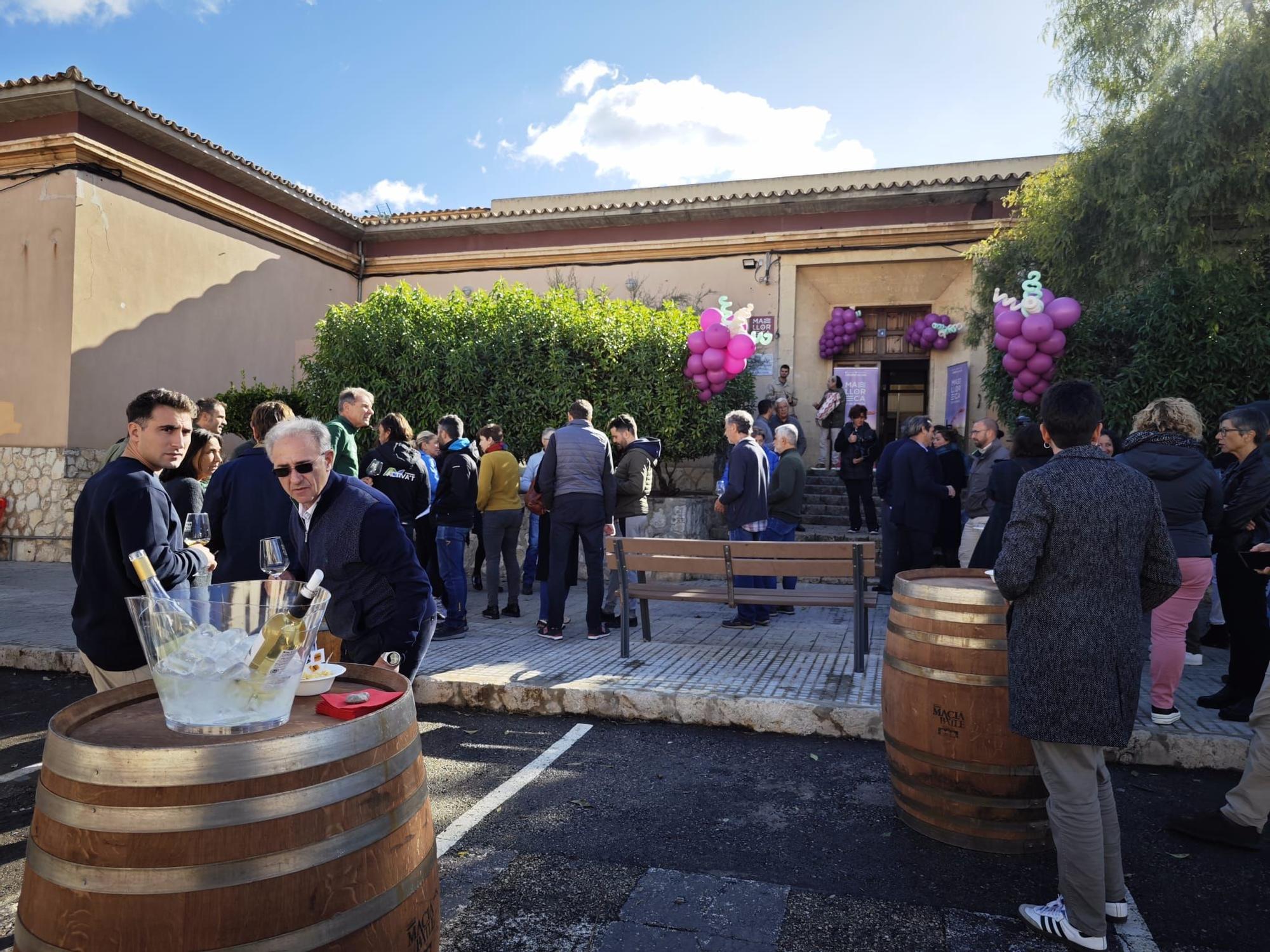 Fotos | La inauguración de la sede de Vi de la Terra Mallorca en Santa Maria, en imágenes